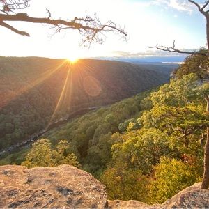 Meet your Posher, Amelia